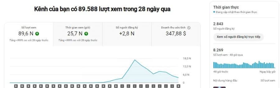 Kênh mới: 89K view, $347 doanh thu
